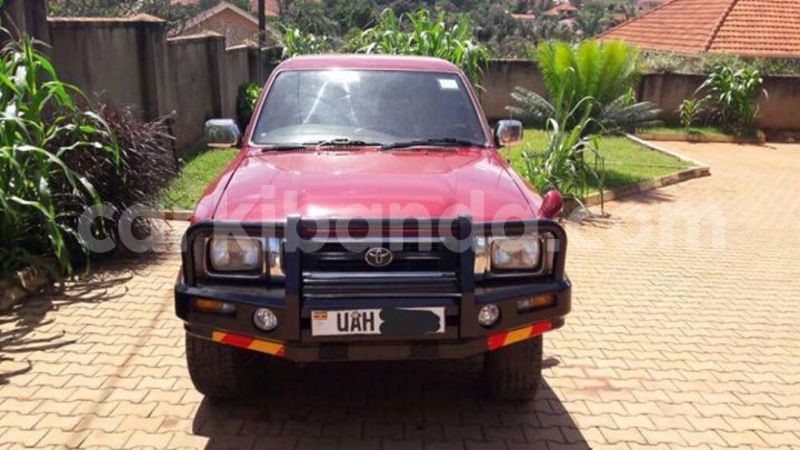 Big with watermark 18952779 709237862582138 3608237861038673941 n