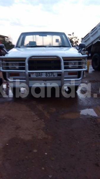 Big with watermark 18952779 709237862582138 3608237861038673941 n