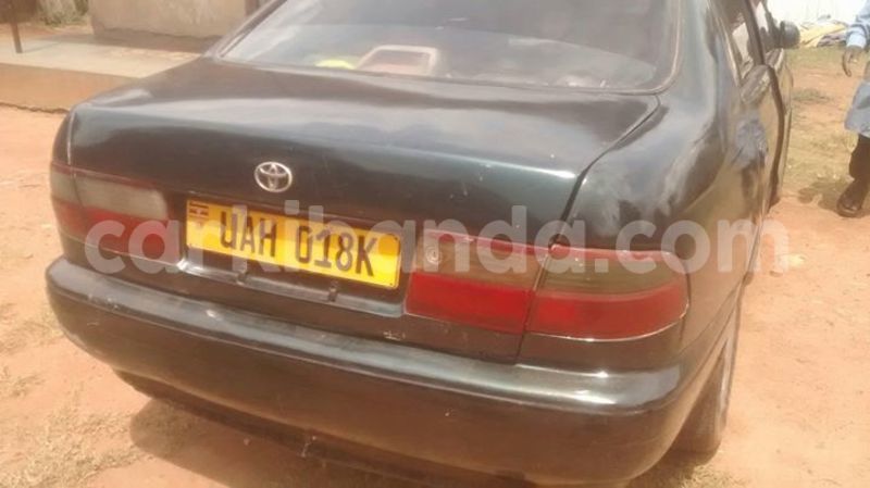 Big with watermark 18952779 709237862582138 3608237861038673941 n