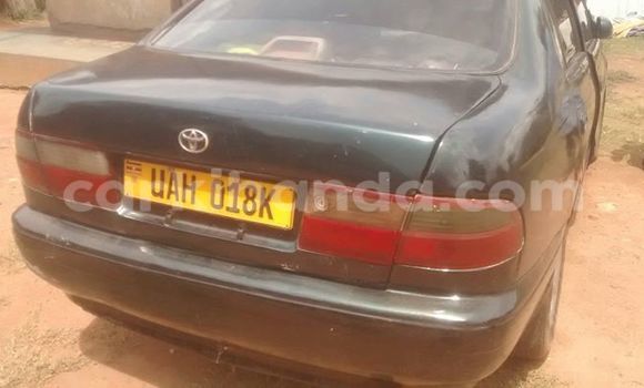 Buy Used Toyota Corona Black Car in Busia in Uganda Buy Used Toyota Corona Black Car in Busia in Uganda