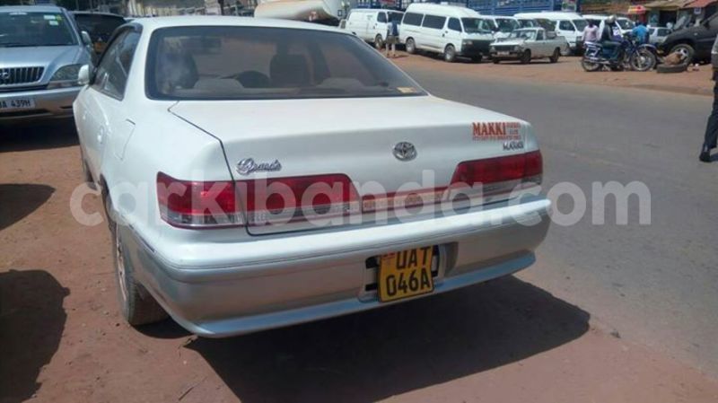 Big with watermark 18952779 709237862582138 3608237861038673941 n