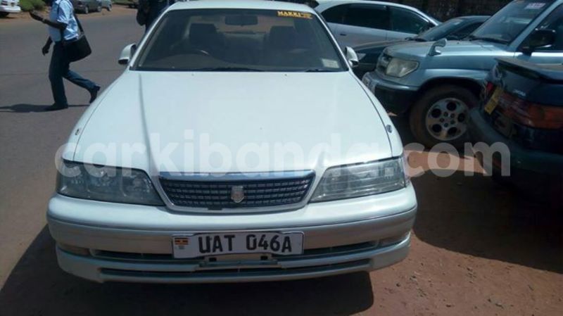 Big with watermark 19030339 709237869248804 8378660185752961642 n