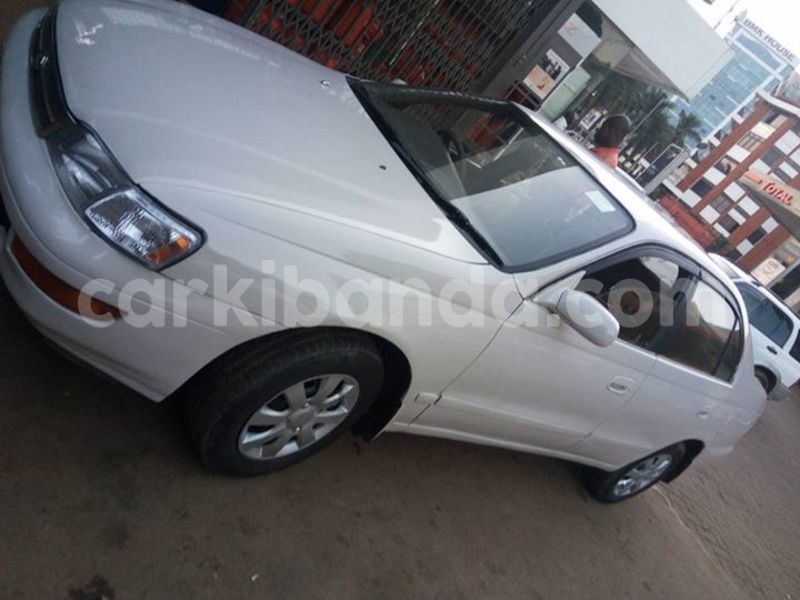 Big with watermark 18952779 709237862582138 3608237861038673941 n