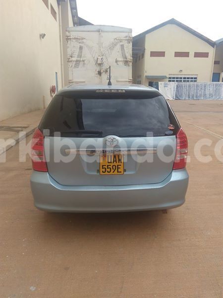 Big with watermark 18952779 709237862582138 3608237861038673941 n