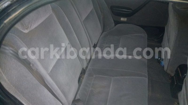 Big with watermark 18954797 10109901822210850 5806381462207131836 o