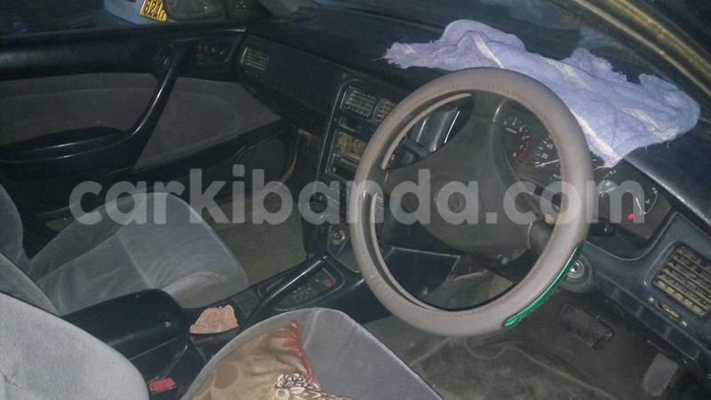 Big with watermark 19030339 709237869248804 8378660185752961642 n