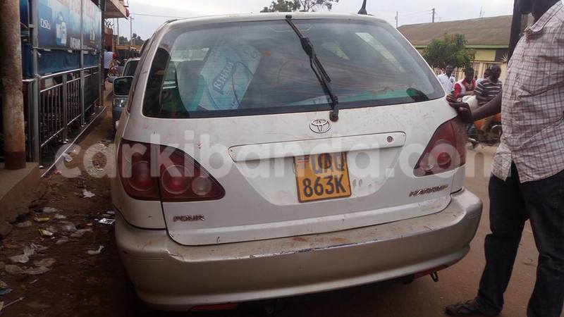 Big with watermark 18952779 709237862582138 3608237861038673941 n