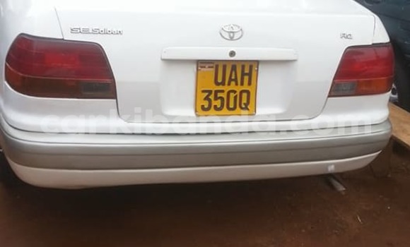 Buy Used Toyota Corolla White Car in Busia in Uganda Buy Used Toyota Corolla White Car in Busia in Uganda