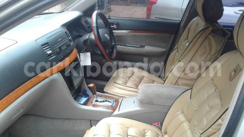 Big with watermark 18954797 10109901822210850 5806381462207131836 o