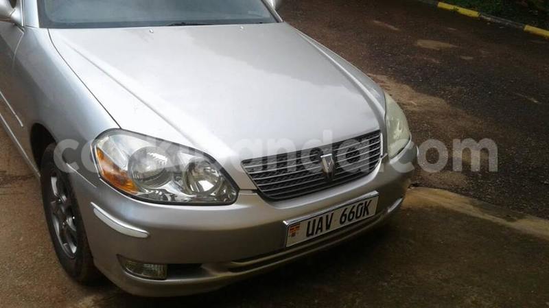 Big with watermark 19030339 709237869248804 8378660185752961642 n