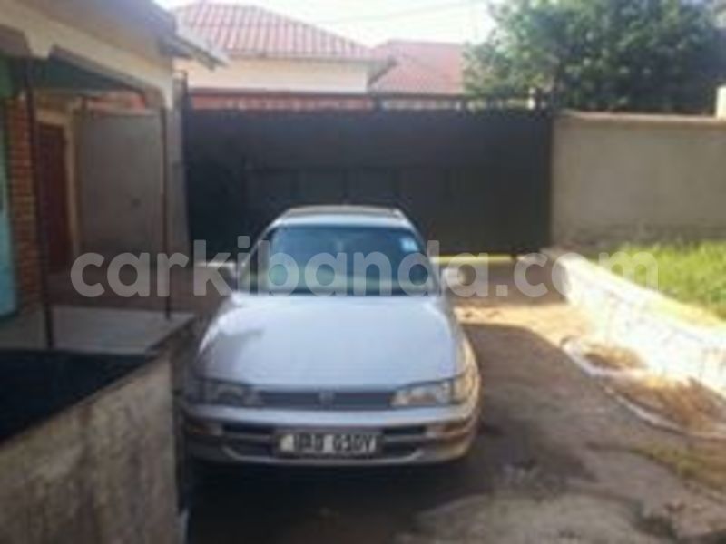 Big with watermark 18952779 709237862582138 3608237861038673941 n