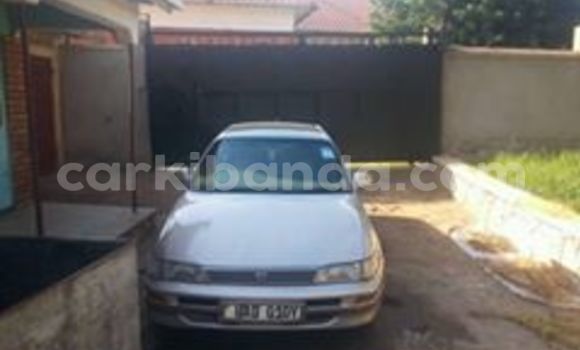 Buy Used Toyota Corolla Other Car in Busia in Uganda Buy Used Toyota Corolla Other Car in Busia in Uganda