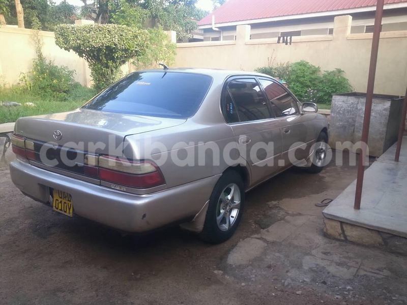 Big with watermark 18954797 10109901822210850 5806381462207131836 o