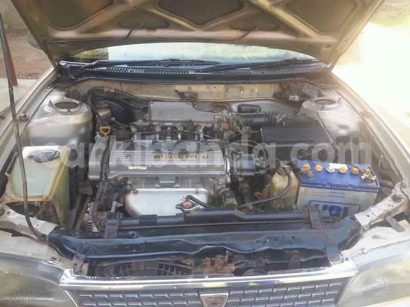 Big with watermark 19030339 709237869248804 8378660185752961642 n