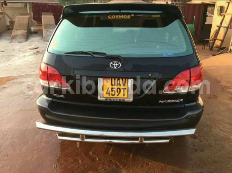 Big with watermark 18952779 709237862582138 3608237861038673941 n