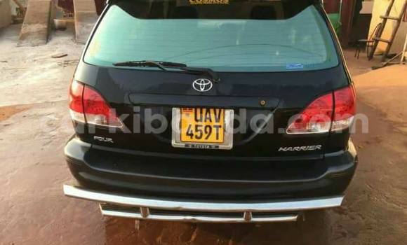 Gura Yakoze Toyota Harrier Black Imodoka i Busia mu Uganda Gura Yakoze Toyota Harrier Black Imodoka i Busia mu Uganda