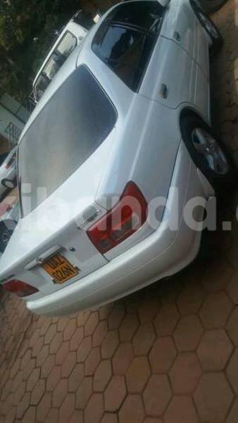 Big with watermark 18952779 709237862582138 3608237861038673941 n