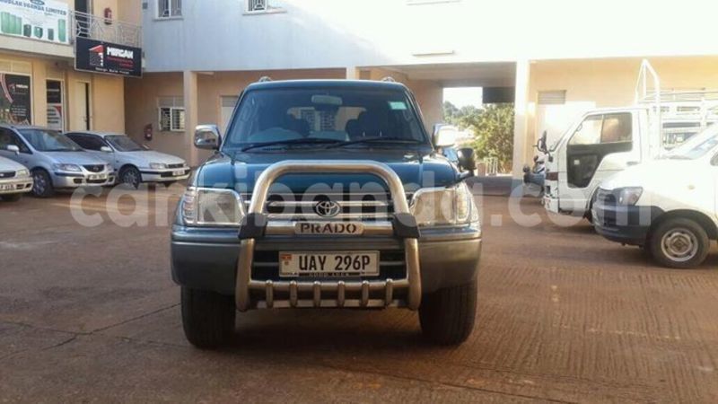 Big with watermark 18952779 709237862582138 3608237861038673941 n