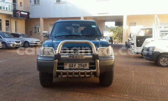 Buy Used Toyota Land Cruiser Prado Green Car in Busia in Uganda Buy Used Toyota Land Cruiser Prado Green Car in Busia in Uganda