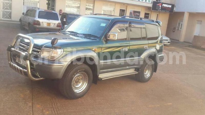 Big with watermark 19030339 709237869248804 8378660185752961642 n