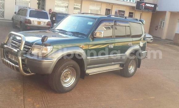 Buy Used Toyota Land Cruiser Prado Green Car in Busia in Uganda Buy Used Toyota Land Cruiser Prado Green Car in Busia in Uganda