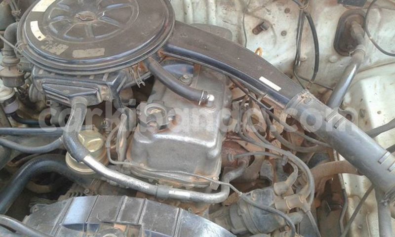 Big with watermark 19030339 709237869248804 8378660185752961642 n