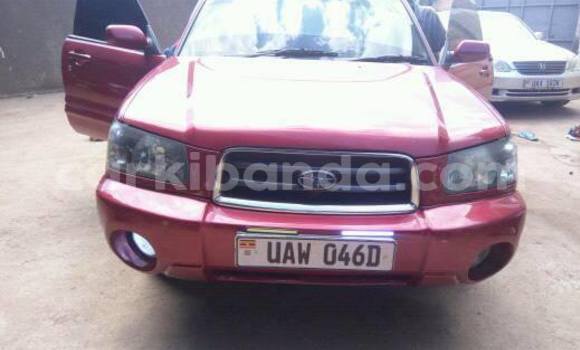 Buy Used Subaru Forester Red Car in Busia in Uganda Buy Used Subaru Forester Red Car in Busia in Uganda