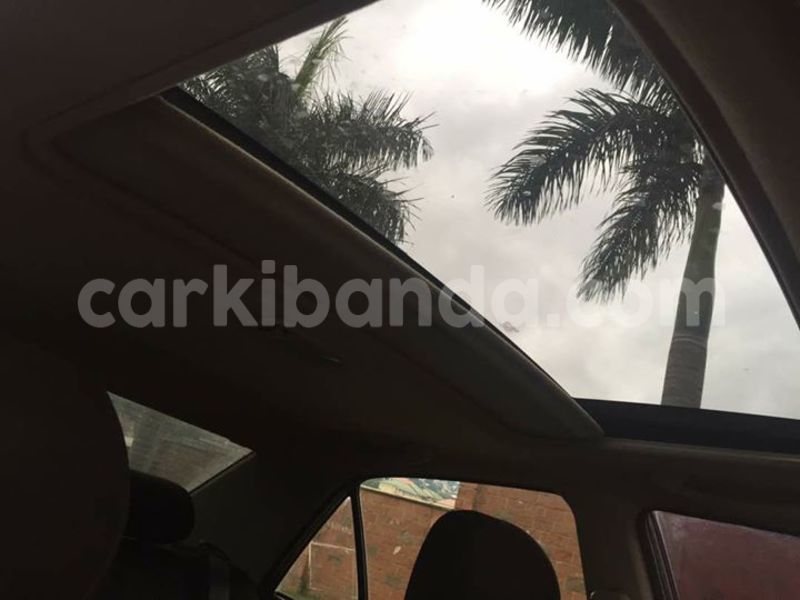 Big with watermark 19030339 709237869248804 8378660185752961642 n