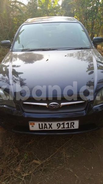 Big with watermark 18952779 709237862582138 3608237861038673941 n