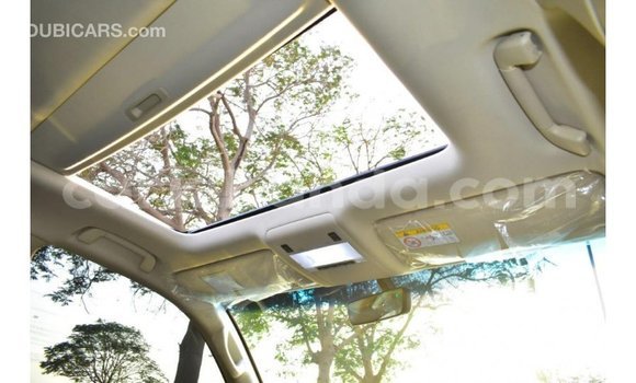 Acheter Import Voiture Toyota Land Cruiser Blanc à Import - Dubai, Ouganda Acheter Import Voiture Toyota Land Cruiser Blanc à Import - Dubai, Ouganda