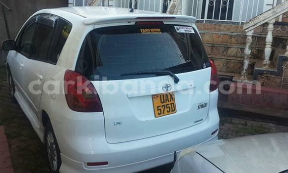 Buy Used Toyota Spacio White Car in Busia in Uganda Buy Used Toyota Spacio White Car in Busia in Uganda