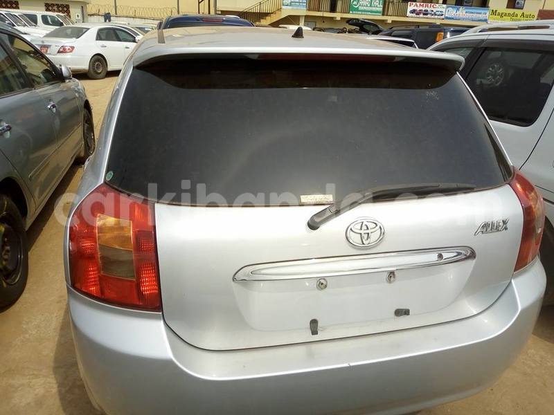 Big with watermark 18952779 709237862582138 3608237861038673941 n