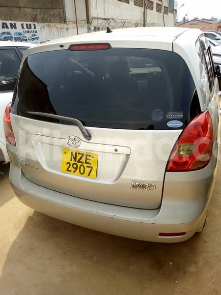 Big with watermark 18952779 709237862582138 3608237861038673941 n