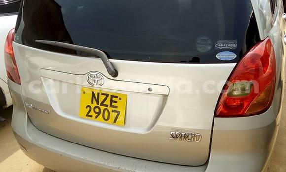 Buy Used Toyota Spacio Other Car in Busia in Uganda Buy Used Toyota Spacio Other Car in Busia in Uganda