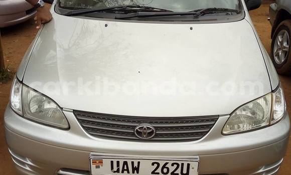 Buy Used Toyota Spacio Silver Car in Busia in Uganda Buy Used Toyota Spacio Silver Car in Busia in Uganda