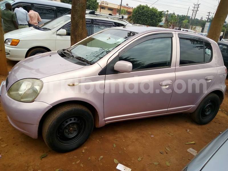 Big with watermark 18952779 709237862582138 3608237861038673941 n