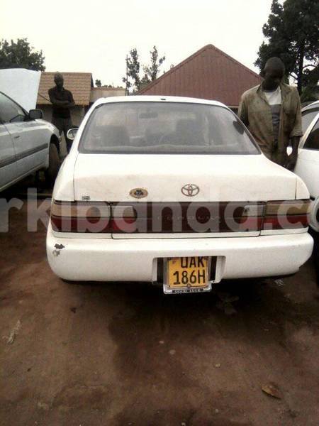 Big with watermark 18952779 709237862582138 3608237861038673941 n