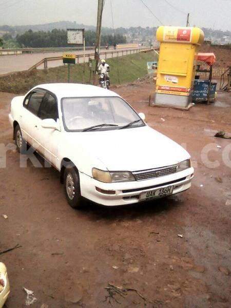 Big with watermark 18954797 10109901822210850 5806381462207131836 o