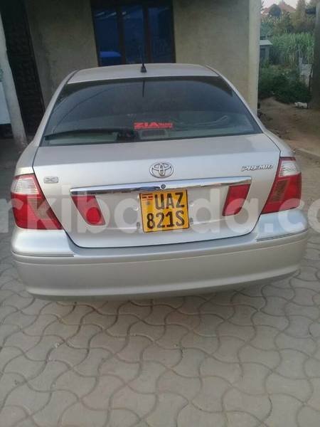 Big with watermark 19030339 709237869248804 8378660185752961642 n