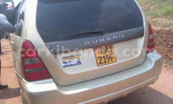 Buy Used Subaru Forester Other Car in Busia in Uganda Buy Used Subaru Forester Other Car in Busia in Uganda