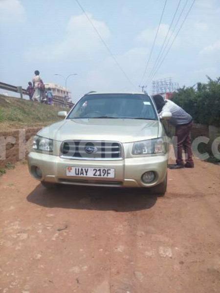 Big with watermark 18954797 10109901822210850 5806381462207131836 o