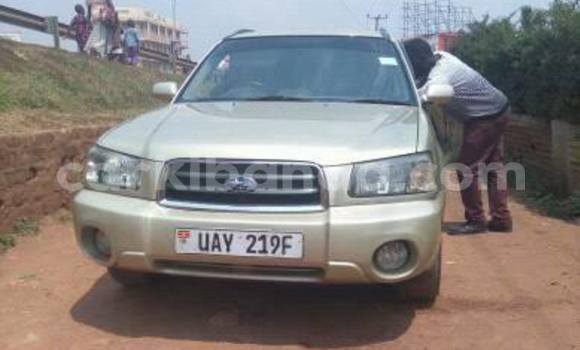Buy Used Subaru Forester Other Car in Busia in Uganda Buy Used Subaru Forester Other Car in Busia in Uganda