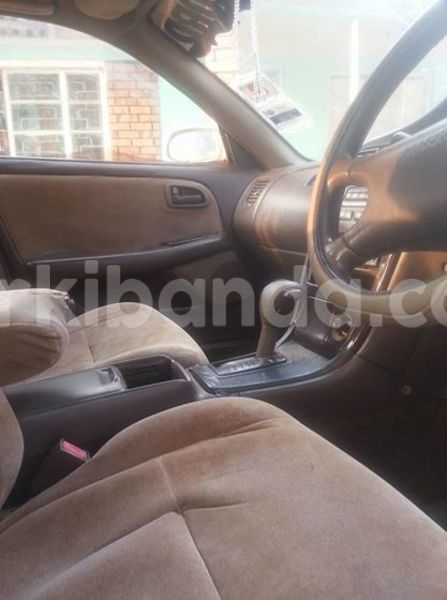 Big with watermark 19030339 709237869248804 8378660185752961642 n