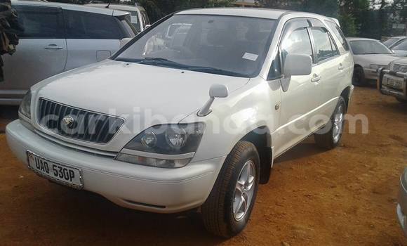 Gura Yakoze Toyota Harrier White Imodoka i Busia mu Uganda Gura Yakoze Toyota Harrier White Imodoka i Busia mu Uganda