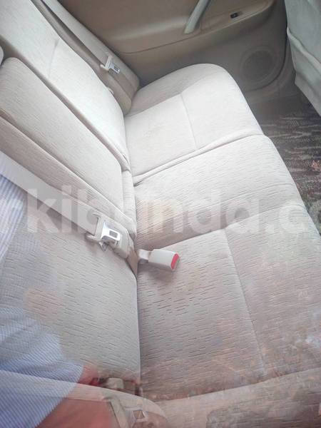 Big with watermark 20258215 486517948356371 2211171140494185906 n