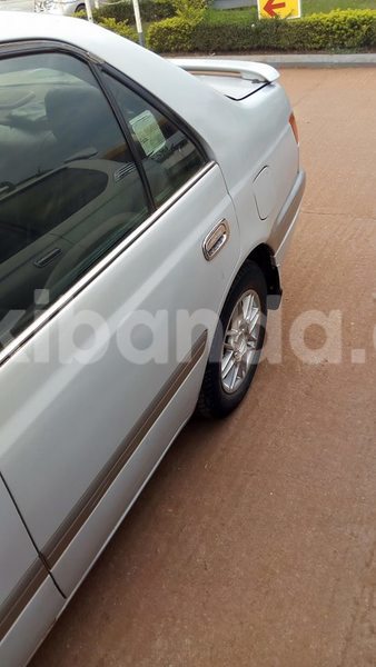 Big with watermark 20258215 486517948356371 2211171140494185906 n