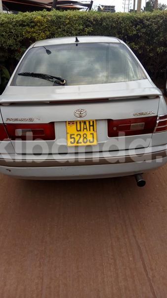 Big with watermark 20246301 486517841689715 4250919723230395693 n