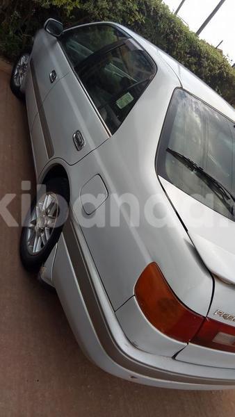 Big with watermark 20264555 486518065023026 4647407434506856133 n