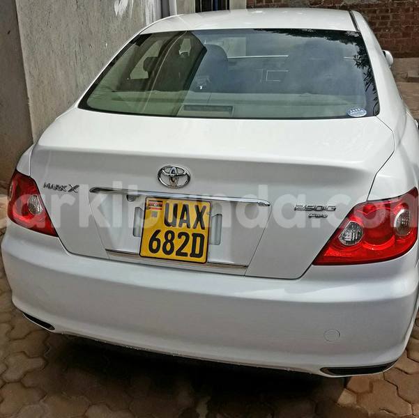 Big with watermark 20246301 486517841689715 4250919723230395693 n