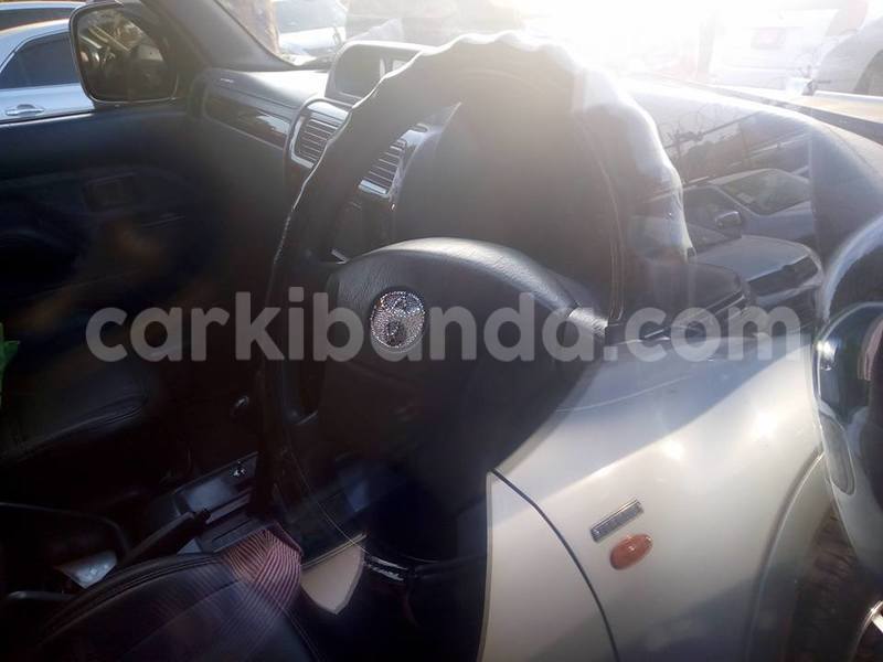 Big with watermark 20264555 486518065023026 4647407434506856133 n